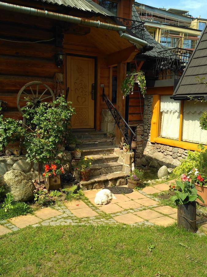 Апартаменти Figusowka Закопане Екстер'єр фото